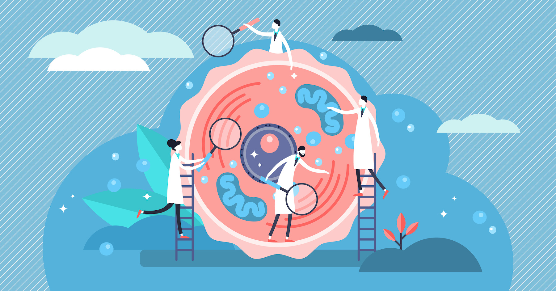 La moitié des structures cellulaires sont encore inconnues. © VectorMine, Adobe Stock